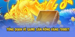 Tổng quan về game Săn rồng vàng 789Bet