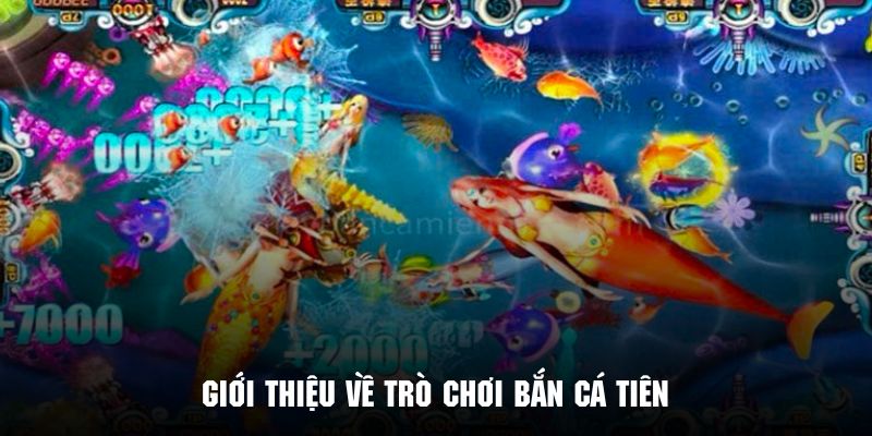 Giới thiệu về trò chơi bắn cá tiên hấp dẫn mang tính giải trí cao